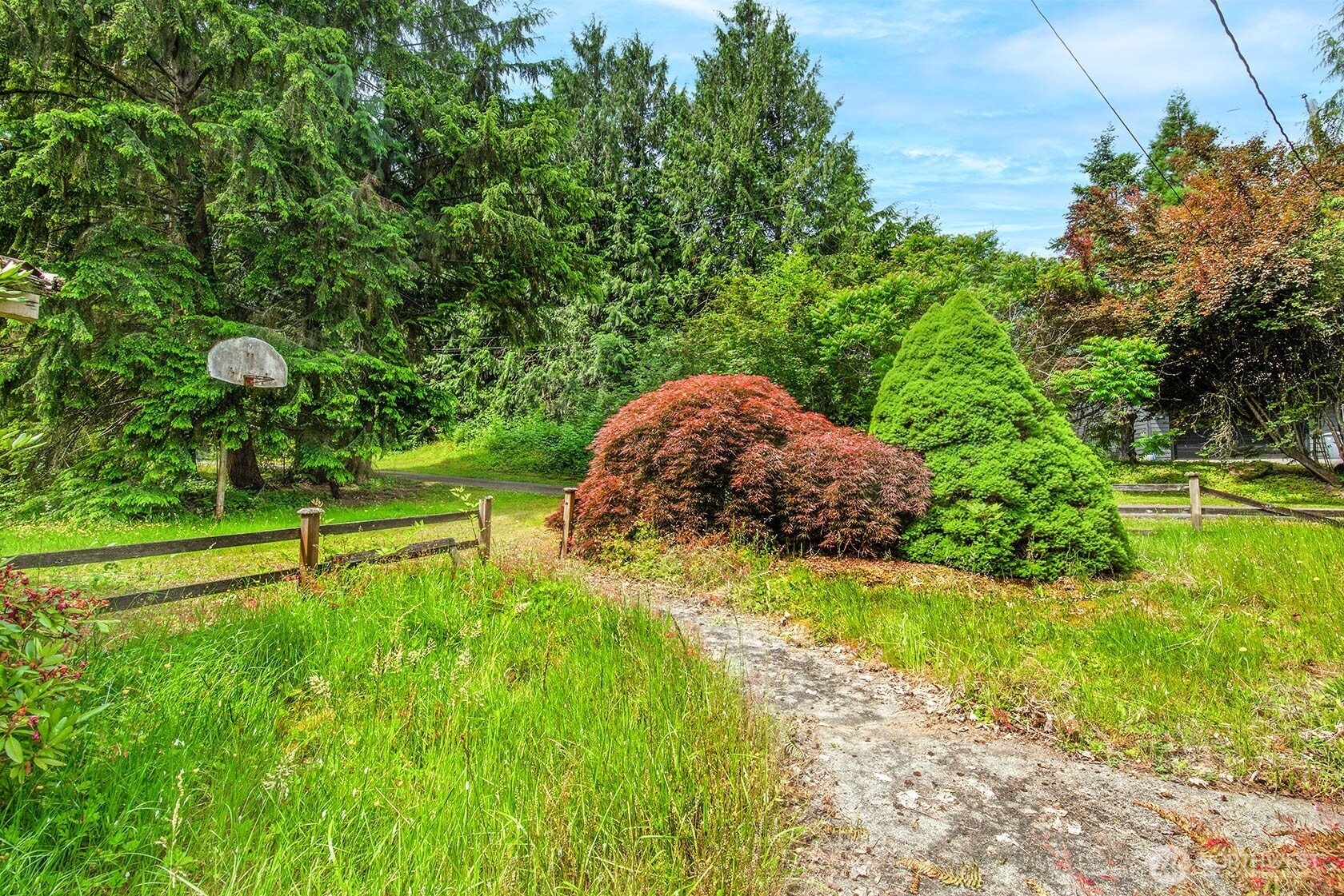 20115 49th Drive Southeast Bothell, WA 98012 - Photo 8 of 35 a garden view