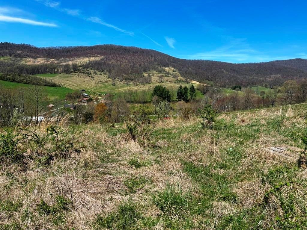 196-ac Gratton Road Tazewell, VA 24651 - Photo 20 of 29 Gallery Image 20