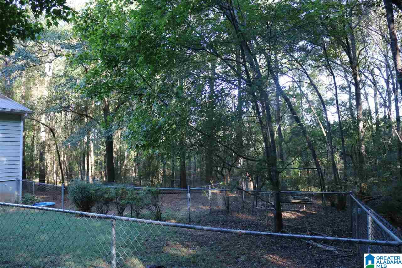 315 Anna Mattison Road Oxford, AL 36203 - Photo 37 of 41