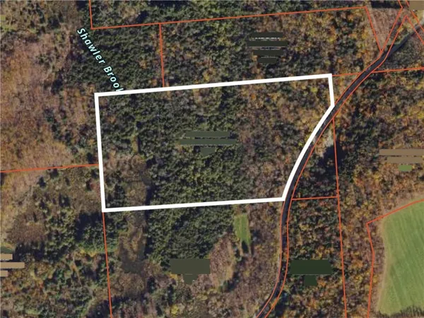 $80,000 | 0 Hemlock Road, New Berlin, NY 13411
