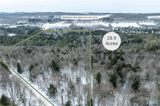 $80,000 | 0 Hemlock Road, New Berlin, NY 13411