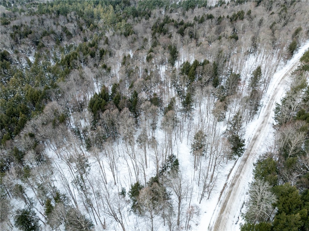 0 Hemlock Road New Berlin, NY 13411 - Photo 4 of 12