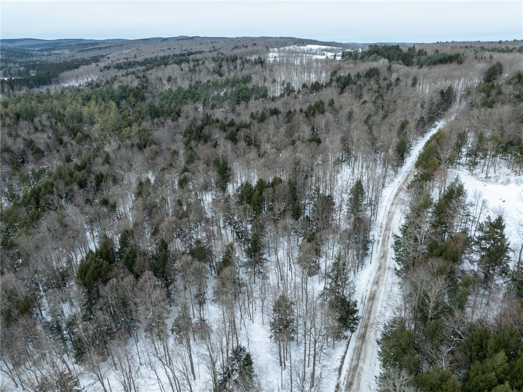 0 Hemlock Road New Berlin, NY 13411 - Photo 5 of 12
