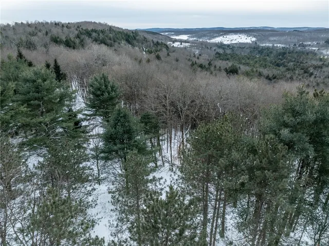 $80,000 | 0 Hemlock Road, New Berlin, NY 13411