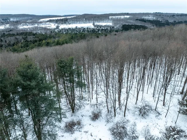 $80,000 | 0 Hemlock Road, New Berlin, NY 13411