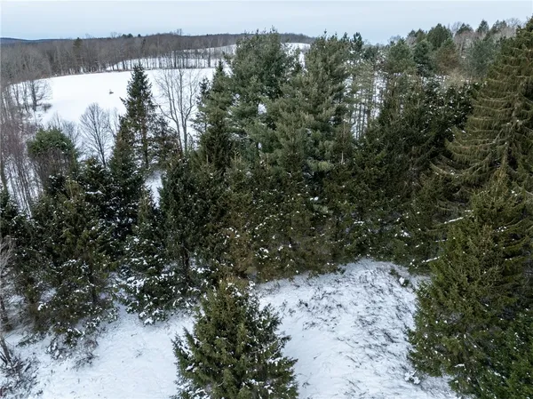 $80,000 | 0 Hemlock Road, New Berlin, NY 13411