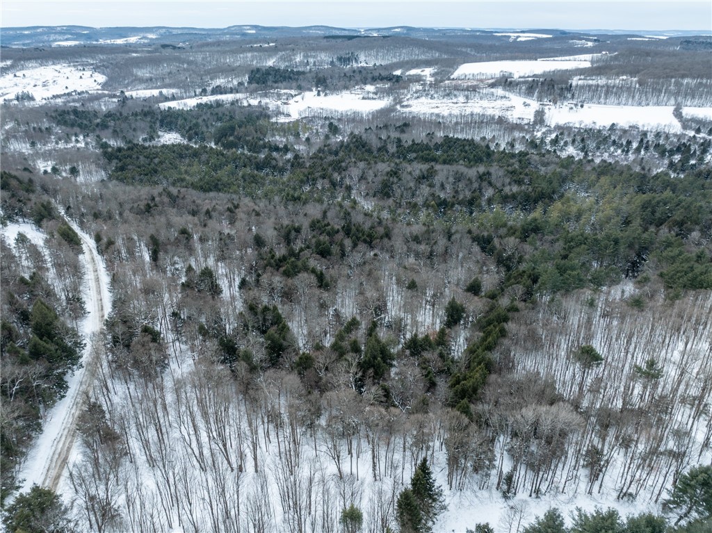 0 Hemlock Road New Berlin, NY 13411 - Photo 10 of 12