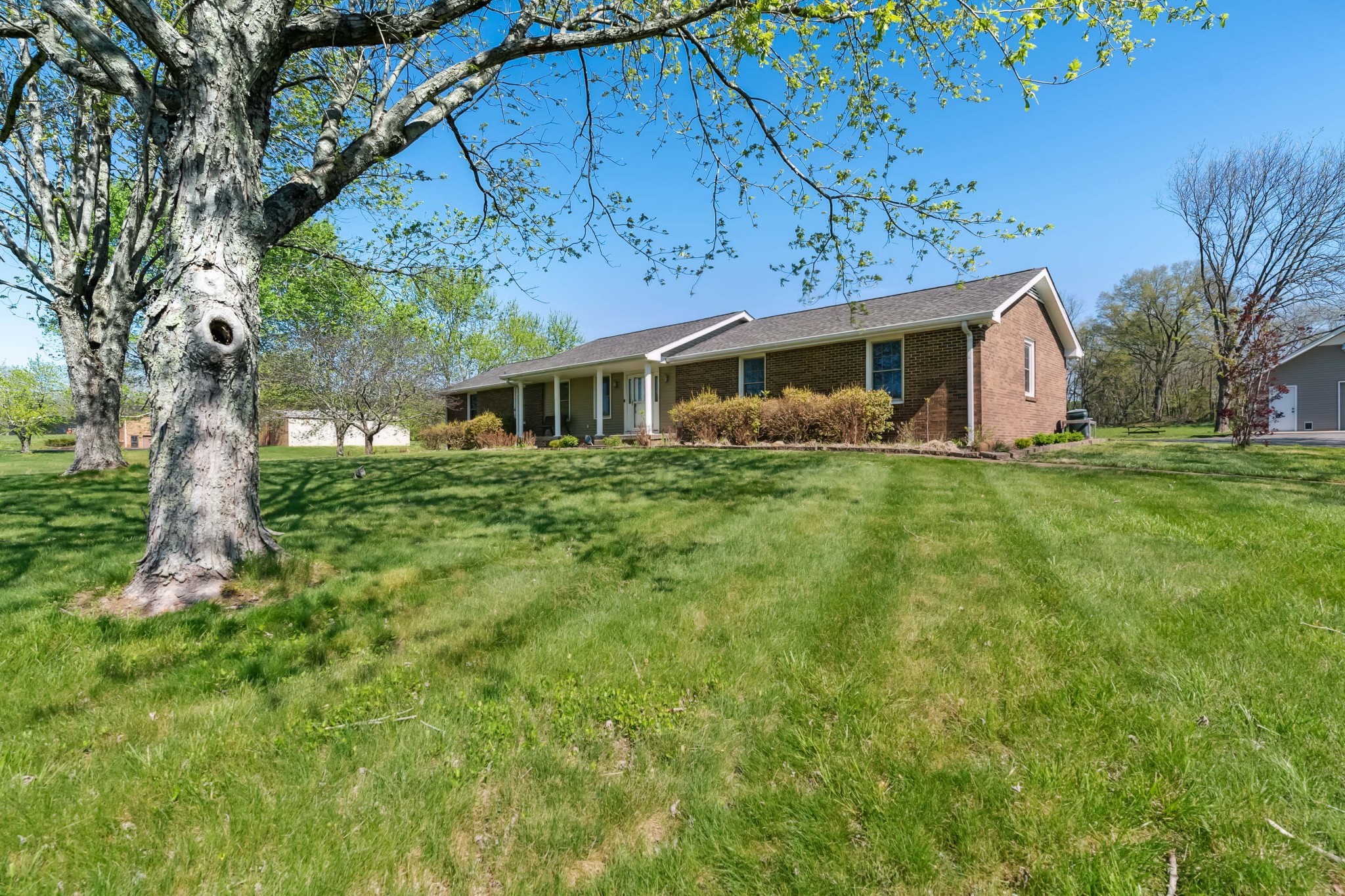 4520 Mt Sharon Road Greenbrier, TN 37073 - Photo 3 of 42 a view of a house with a yard
