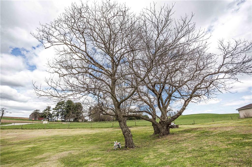 7336 Pollock Road Marion Center, PA 15759 - Photo 22 of 28 a view of a yard with a tree
