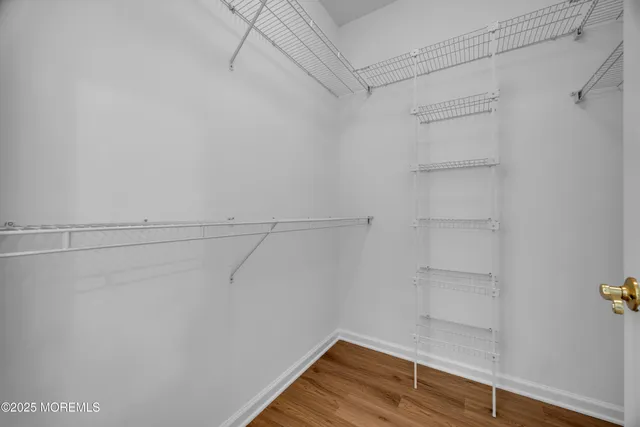 a view of yard with grass and trees