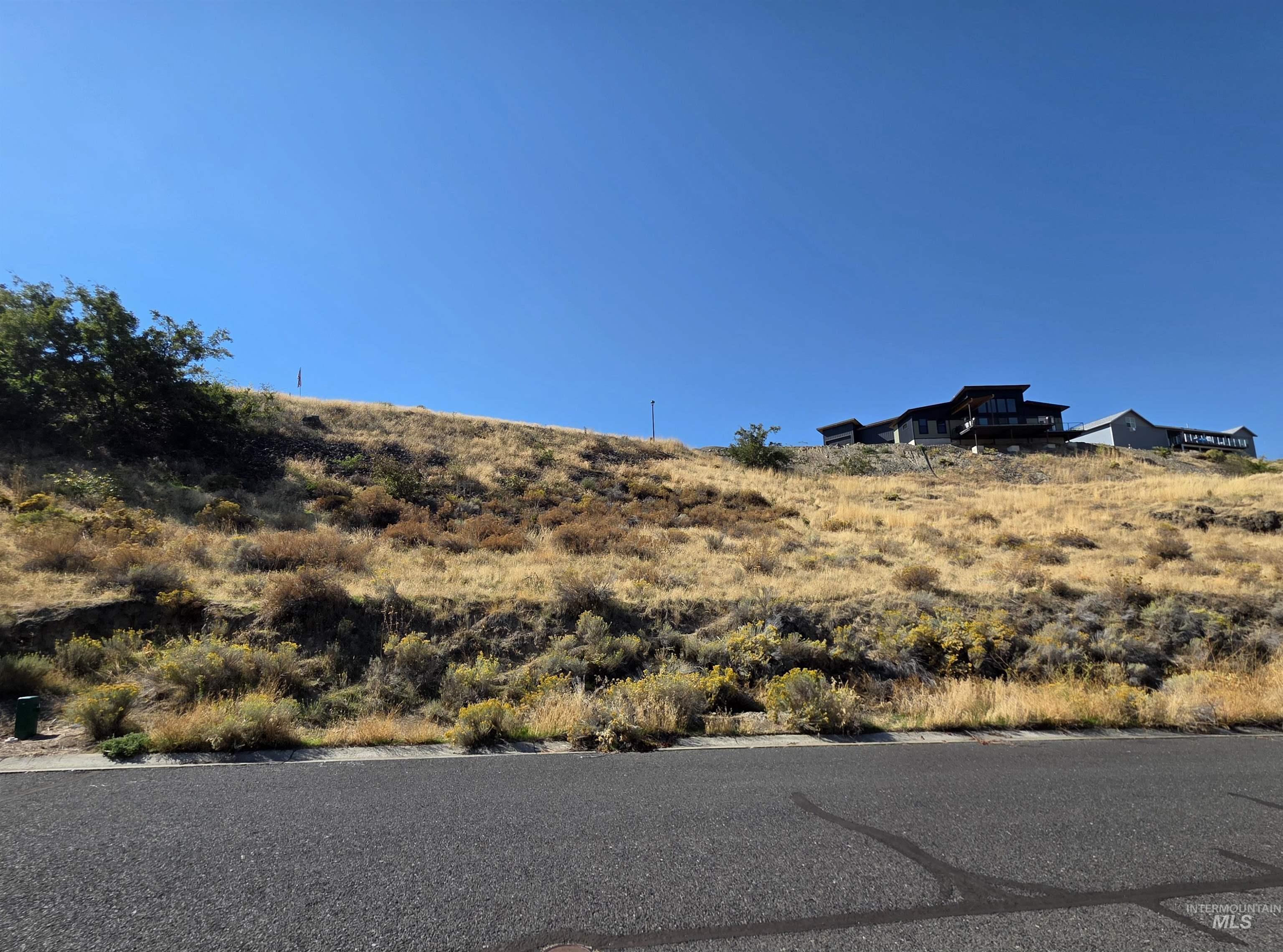 1493 River Ridge Drive Asotin, WA 99402 - Photo 6 of 14 View of asphalt road