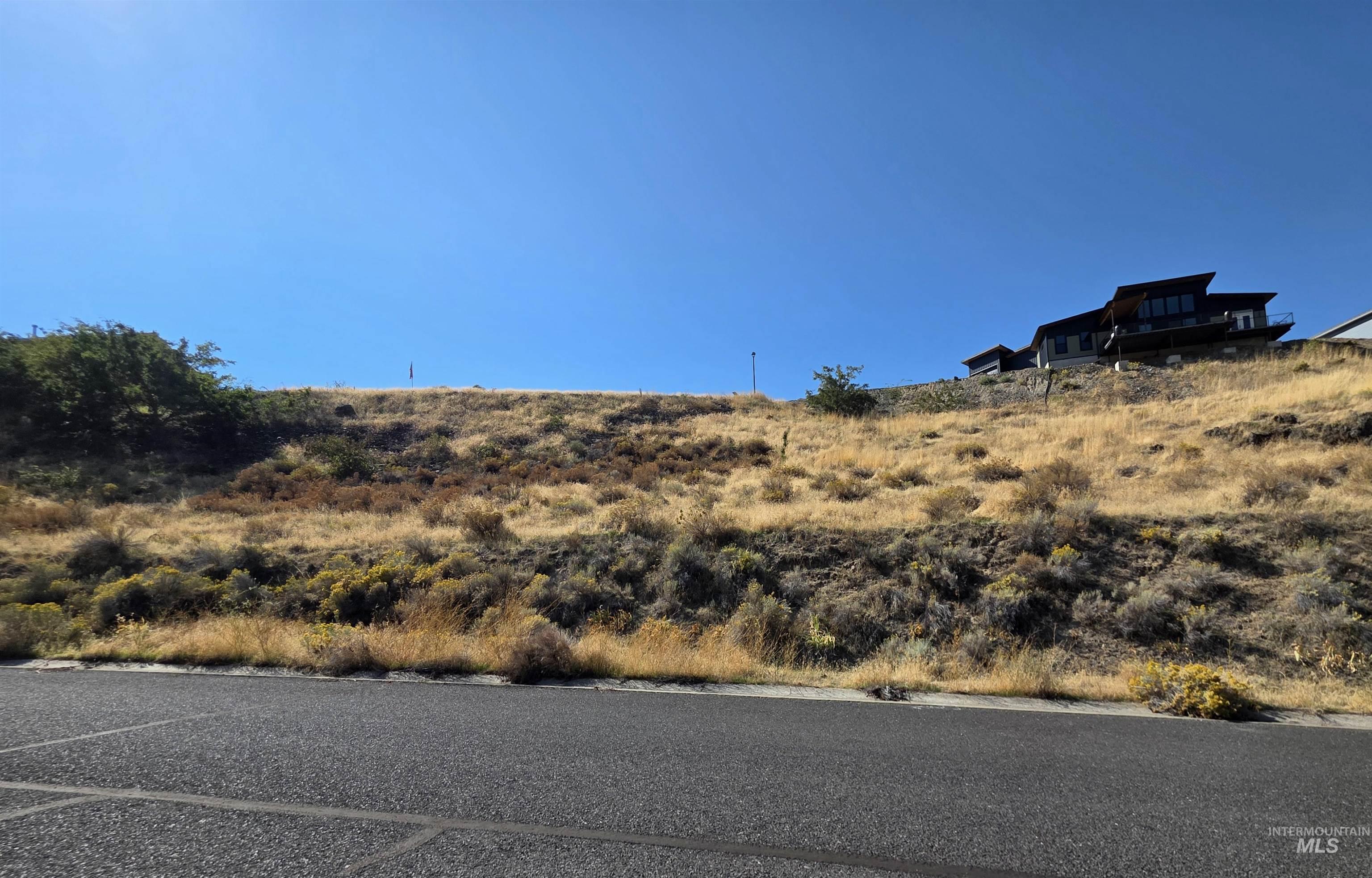 1493 River Ridge Drive Asotin, WA 99402 - Photo 7 of 14 View of yard