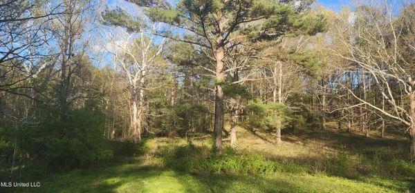 $35,000 | 0 Ms-471, Brandon, MS 39042