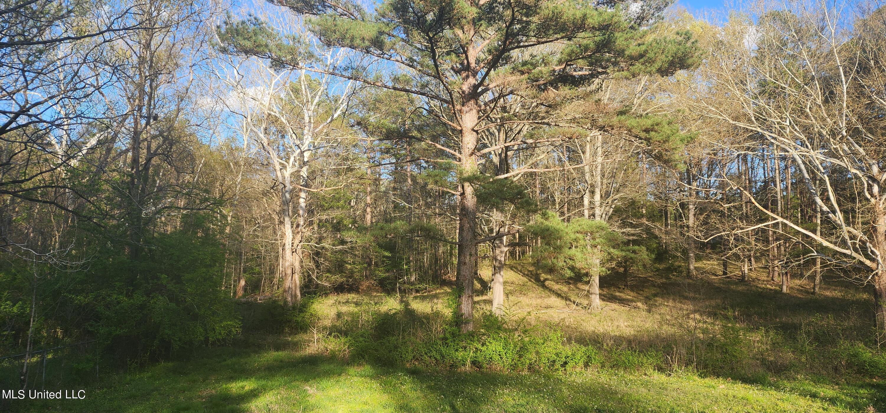 0 Ms-471 Brandon, MS 39042 - Photo 1 of 3 20240326_180407