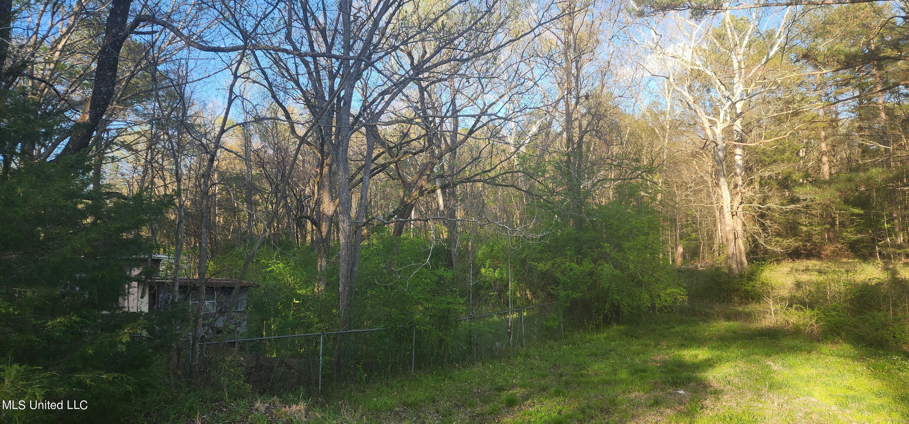 0 Ms-471 Brandon, MS 39042 - Photo 2 of 3 20240326_180413