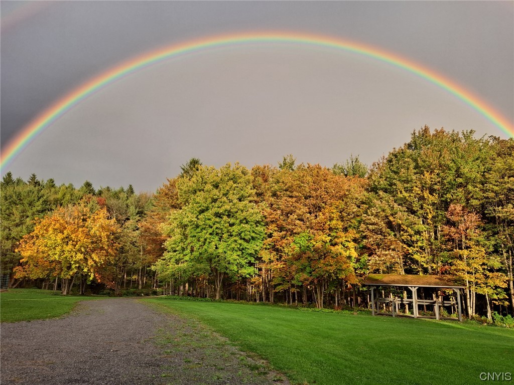 2925 Muller Hill Road Georgetown, NY 13072 - Photo 35 of 50