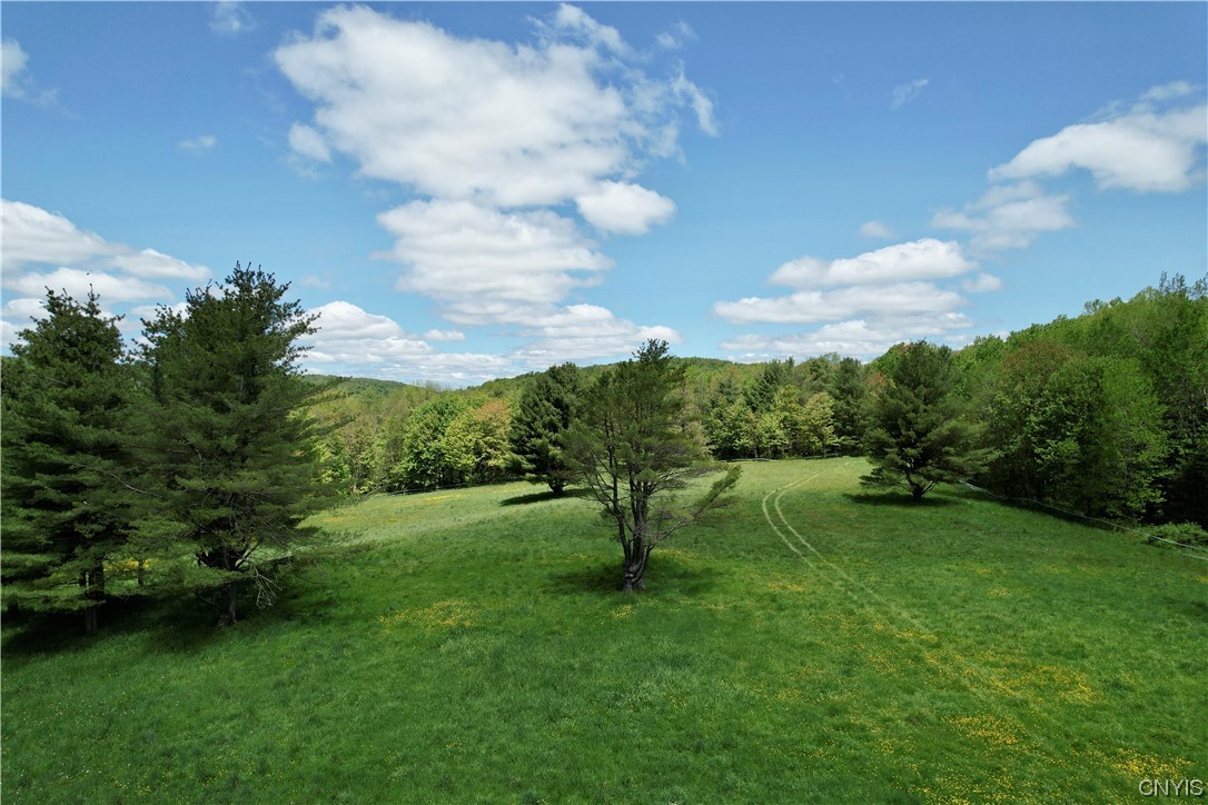 2925 Muller Hill Road Georgetown, NY 13072 - Photo 38 of 50