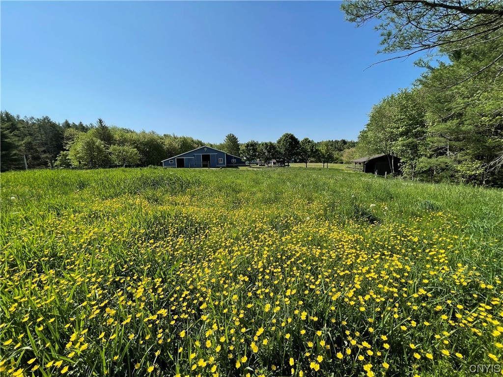 2925 Muller Hill Road Georgetown, NY 13072 - Photo 41 of 50