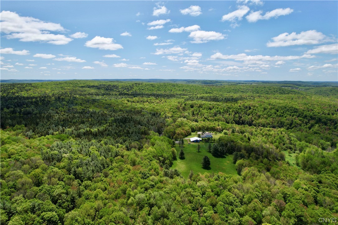 2925 Muller Hill Road Georgetown, NY 13072 - Photo 44 of 50