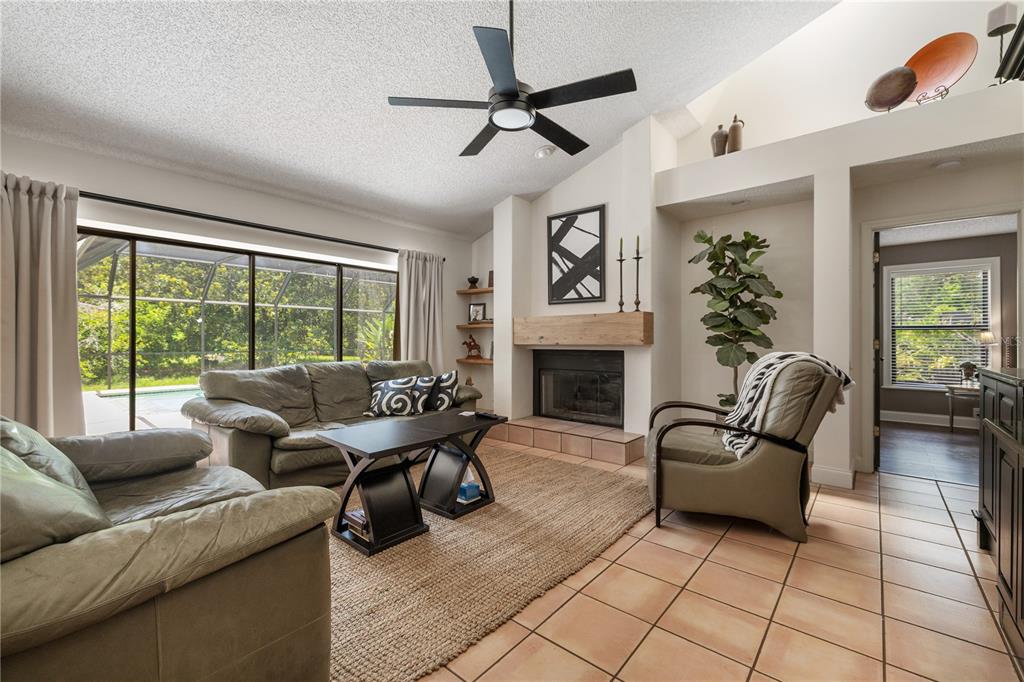 3372 Brian Road South Palm Harbor, FL 34685 - Photo 17 of 45 a living room with furniture and a fireplace