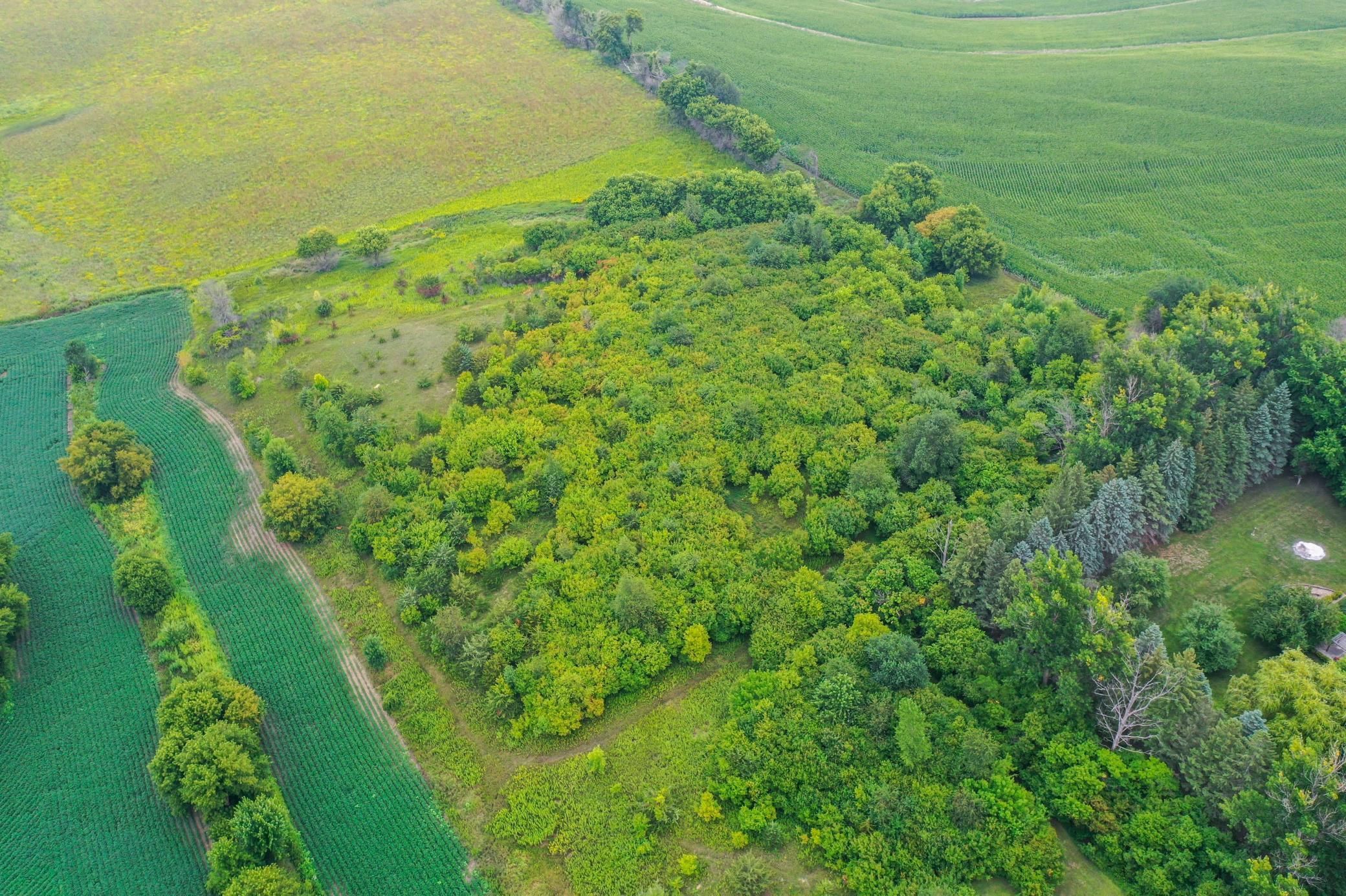 1997 White Bridge Road Northeast Rochester, MN 55906 - Photo 60 of 63