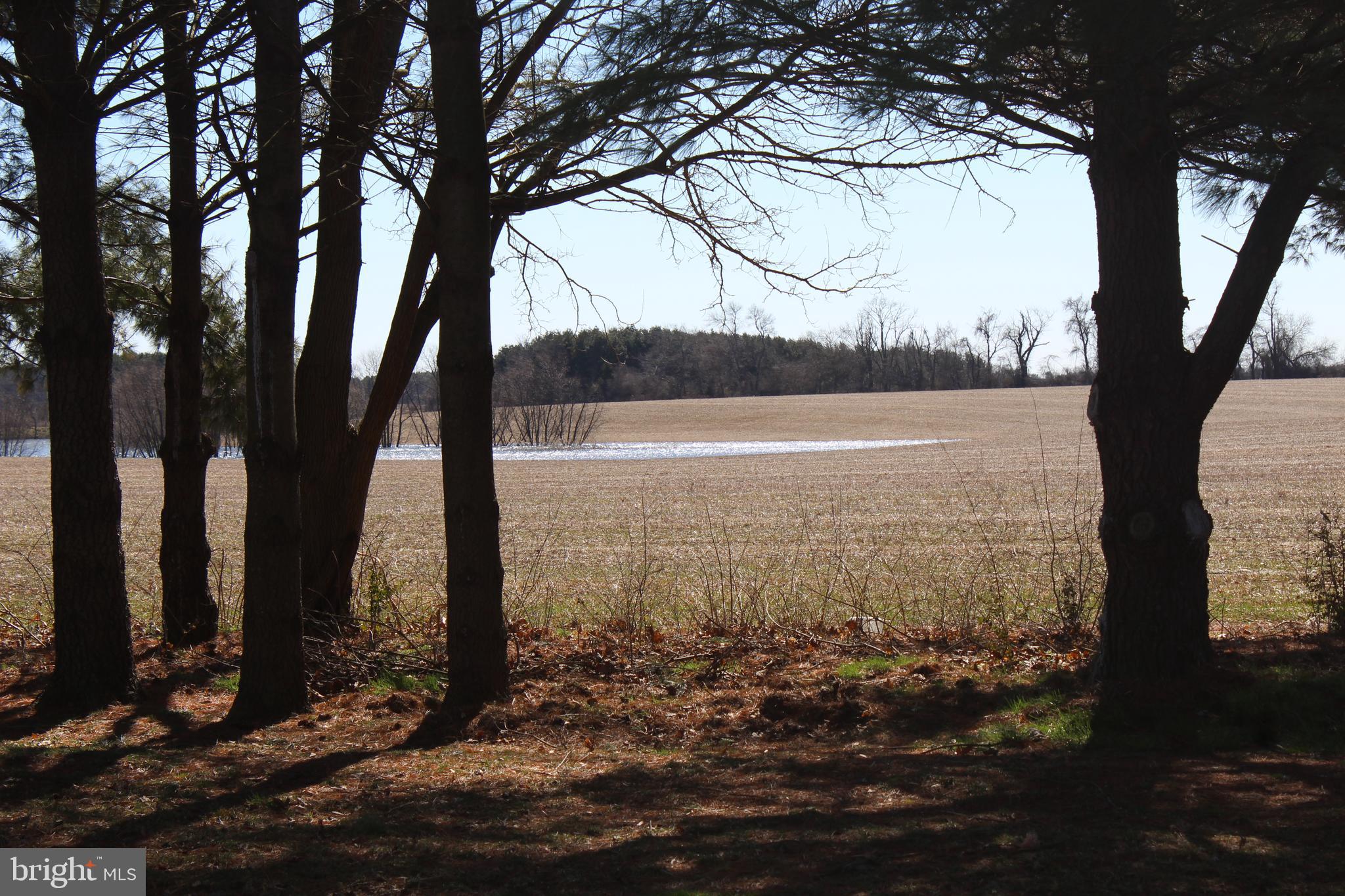 24039 Chestertown Road Chestertown, MD 21620 - Photo 31 of 37 View of Pond and Pasture