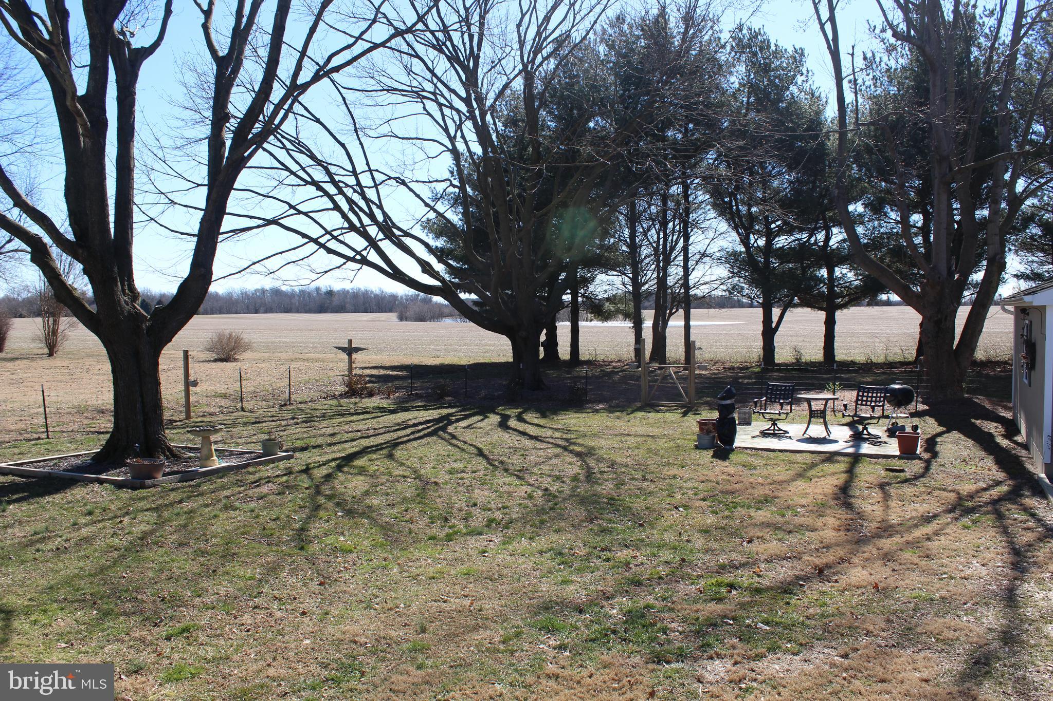 24039 Chestertown Road Chestertown, MD 21620 - Photo 32 of 37 Rear Yard