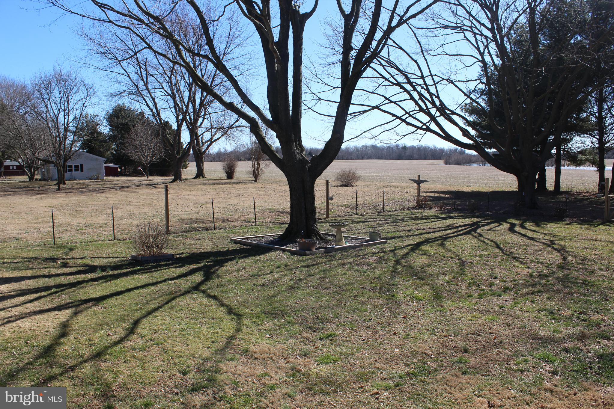 24039 Chestertown Road Chestertown, MD 21620 - Photo 33 of 37 Rear Yard