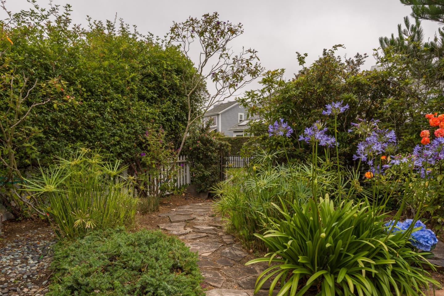 29 Pinehurst Lane Half Moon Bay, CA 94019 - Photo 14 of 17 a picture of flowers