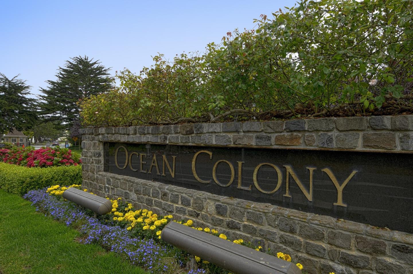 29 Pinehurst Lane Half Moon Bay, CA 94019 - Photo 17 of 17 a view of a street with potted plants