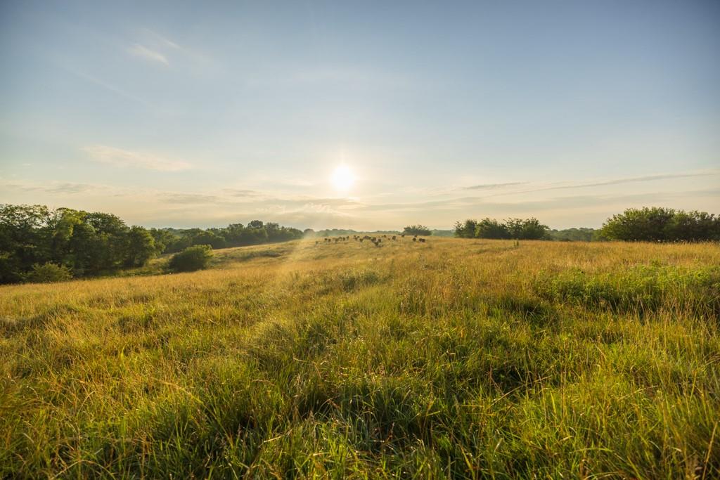 0 Southeast Oliver Road Cowgill, MO 64637 - Photo 51 of 56