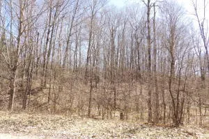 $2,500 | 23098 Miramichi Drive, Evart, MI 49631