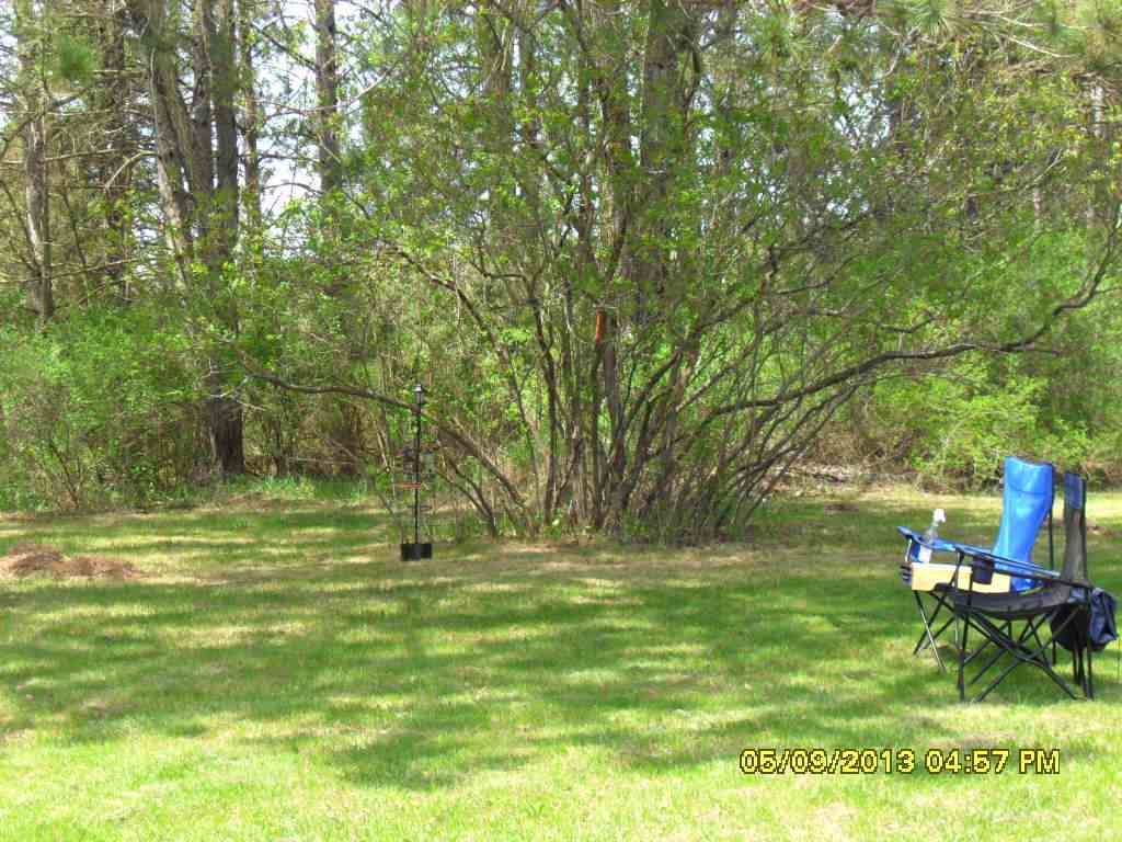 5584 West 12 Road Mesick, MI 49668 - Photo 9 of 73 1796970-8.JPG