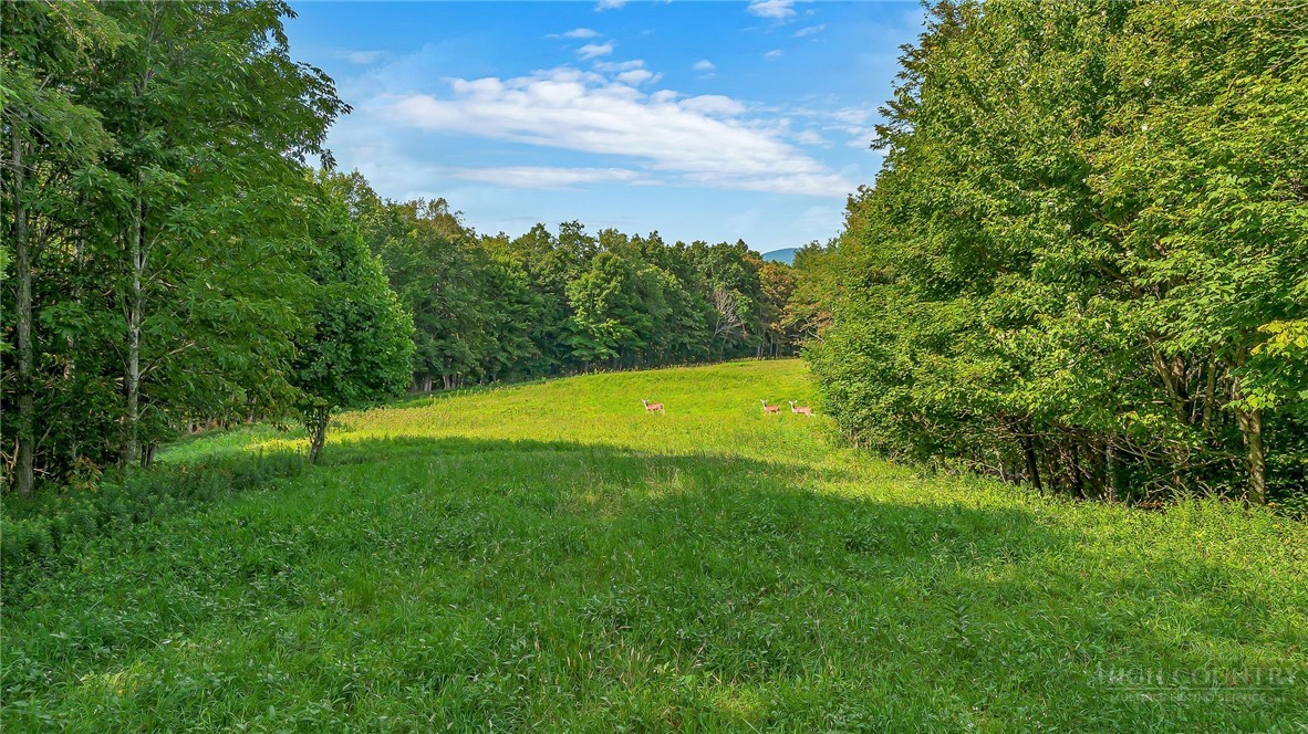 Little Windfall Road Lansing, NC 28643 - Photo 12 of 37 Gallery Image 12