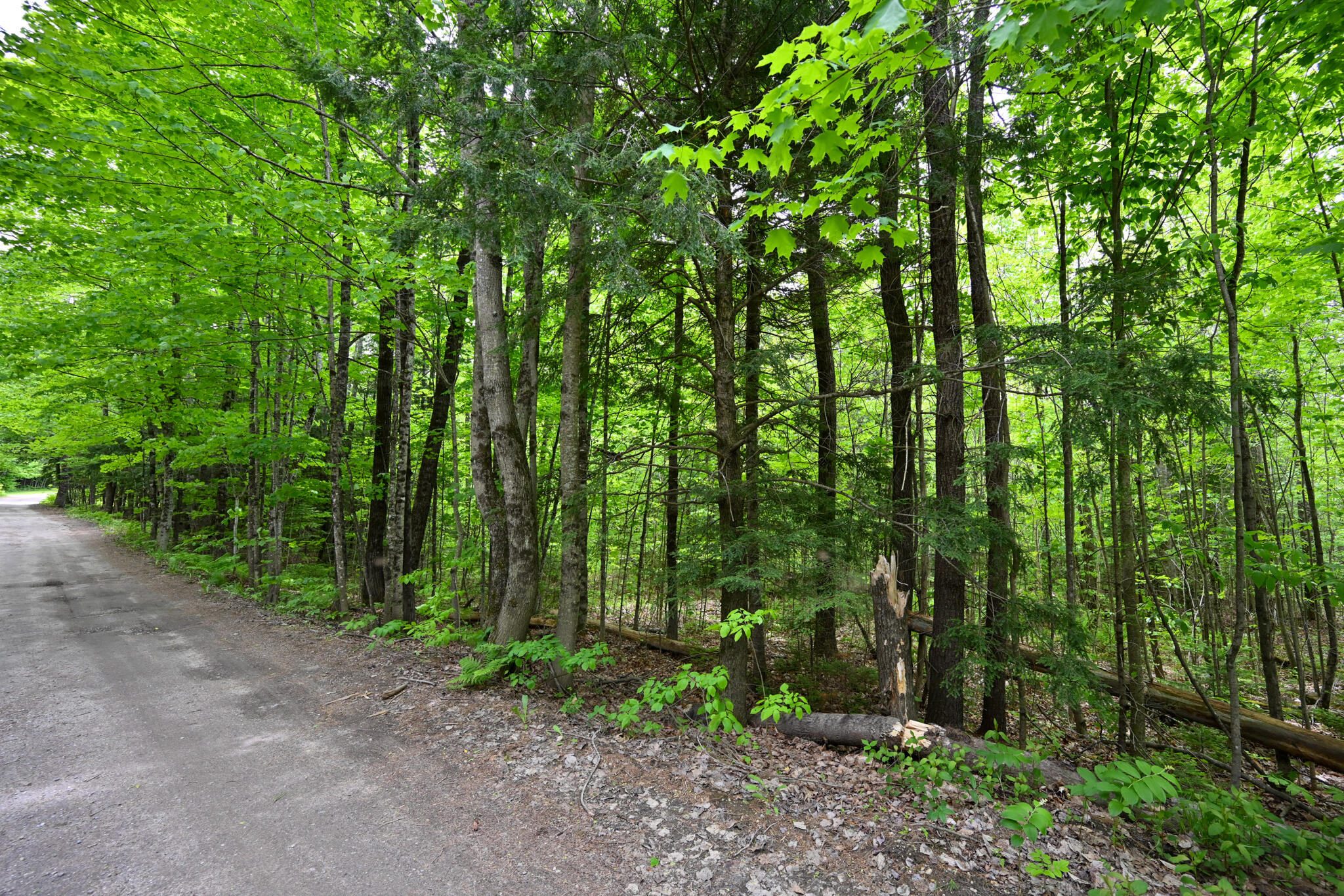 Lot 16 Old Towle Road Dixfield, ME 04224 - Photo 3 of 14 View from road