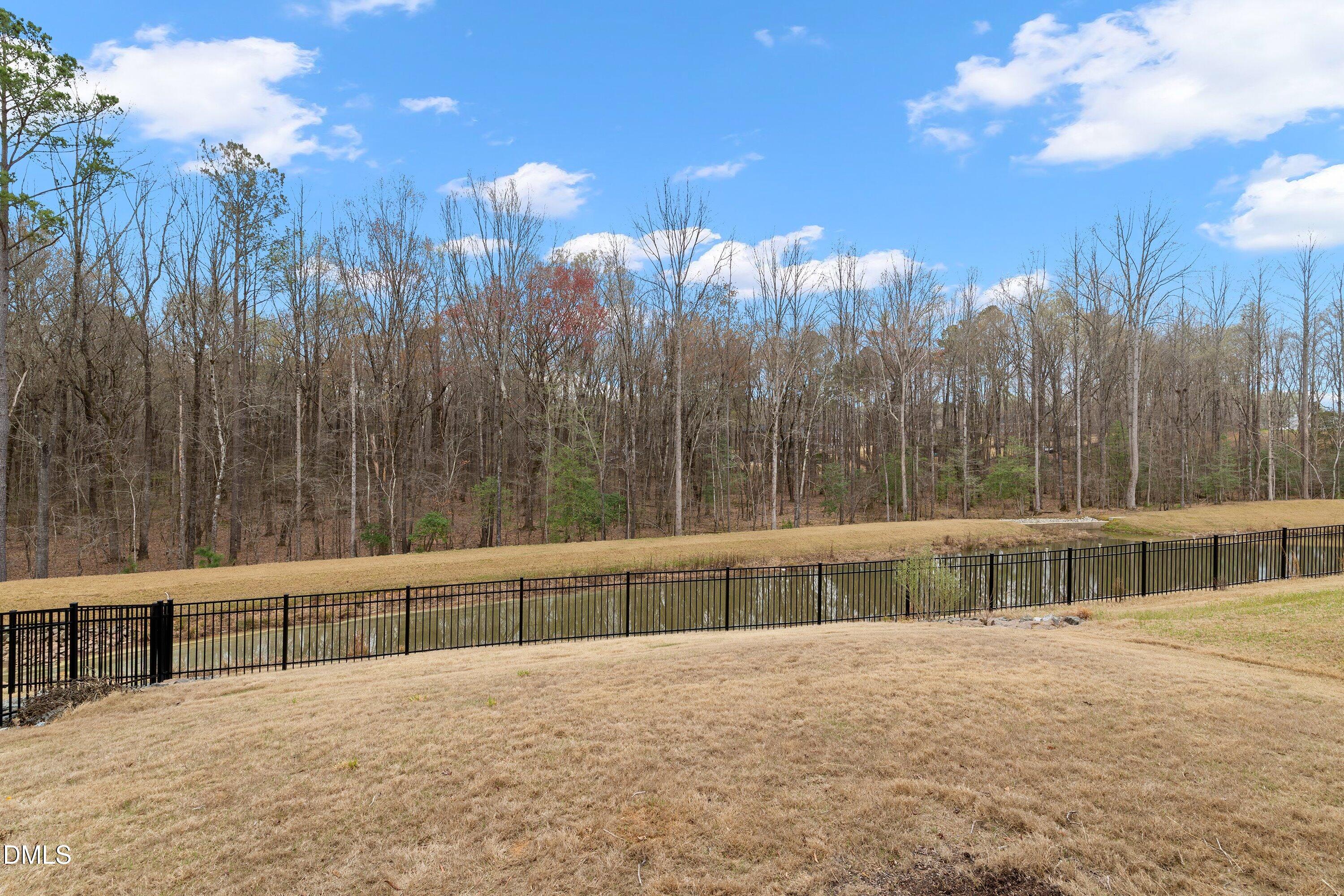 154 Anise Tree Way Clayton, NC 27527 - Photo 2 of 43 a view of a large yard