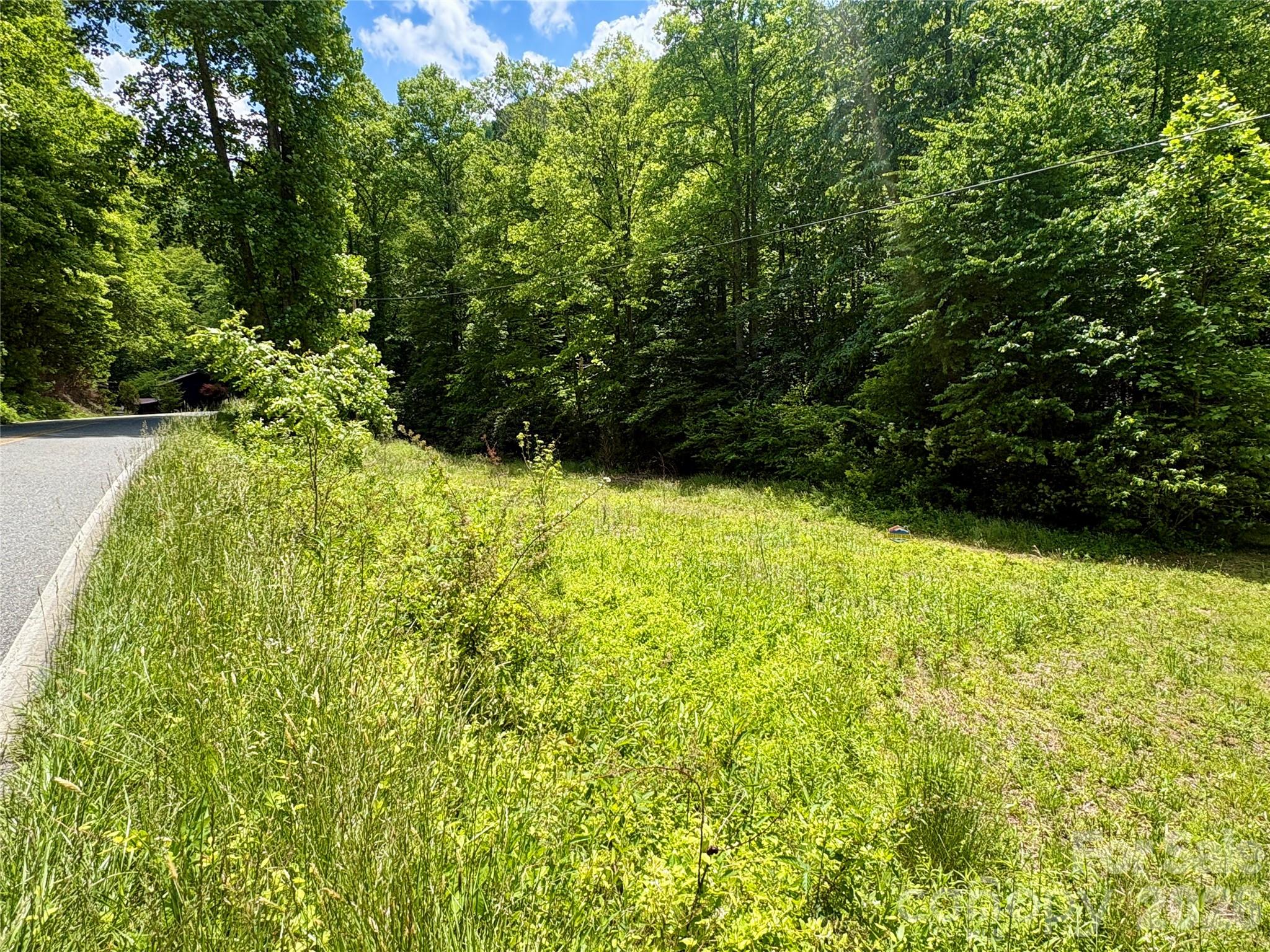 0 Alarka Road, Unit 48 Bryson City, NC 28713 - Photo 11 of 11
