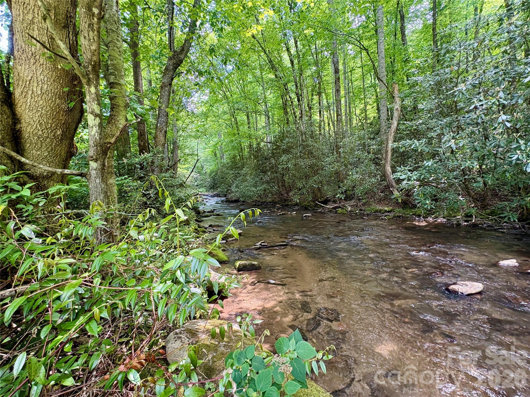 0 Alarka Road, Unit 48 Bryson City, NC 28713 - Photo 2 of 11
