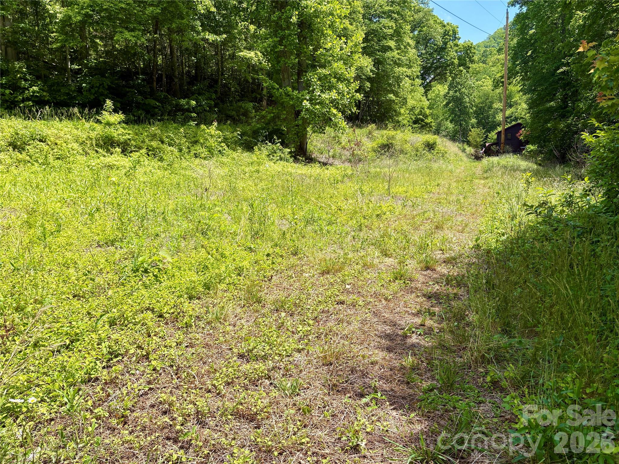 0 Alarka Road, Unit 48 Bryson City, NC 28713 - Photo 4 of 11