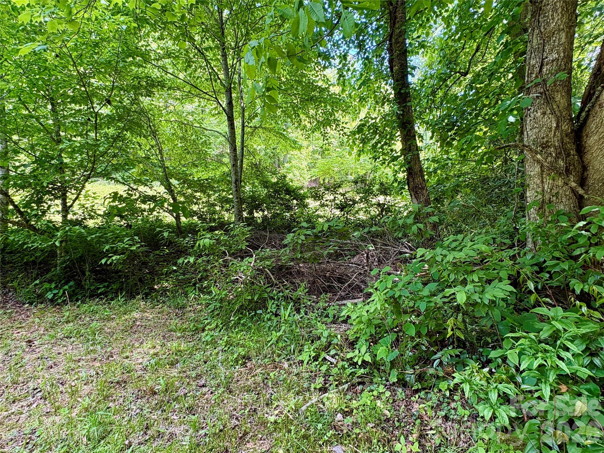 0 Alarka Road, Unit 48 Bryson City, NC 28713 - Photo 5 of 11