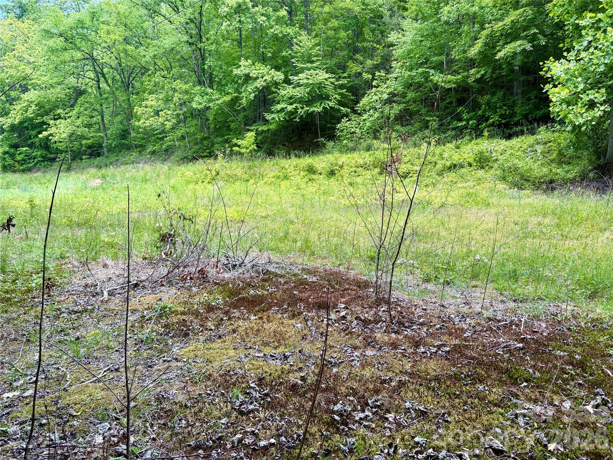 0 Alarka Road, Unit 48 Bryson City, NC 28713 - Photo 6 of 11