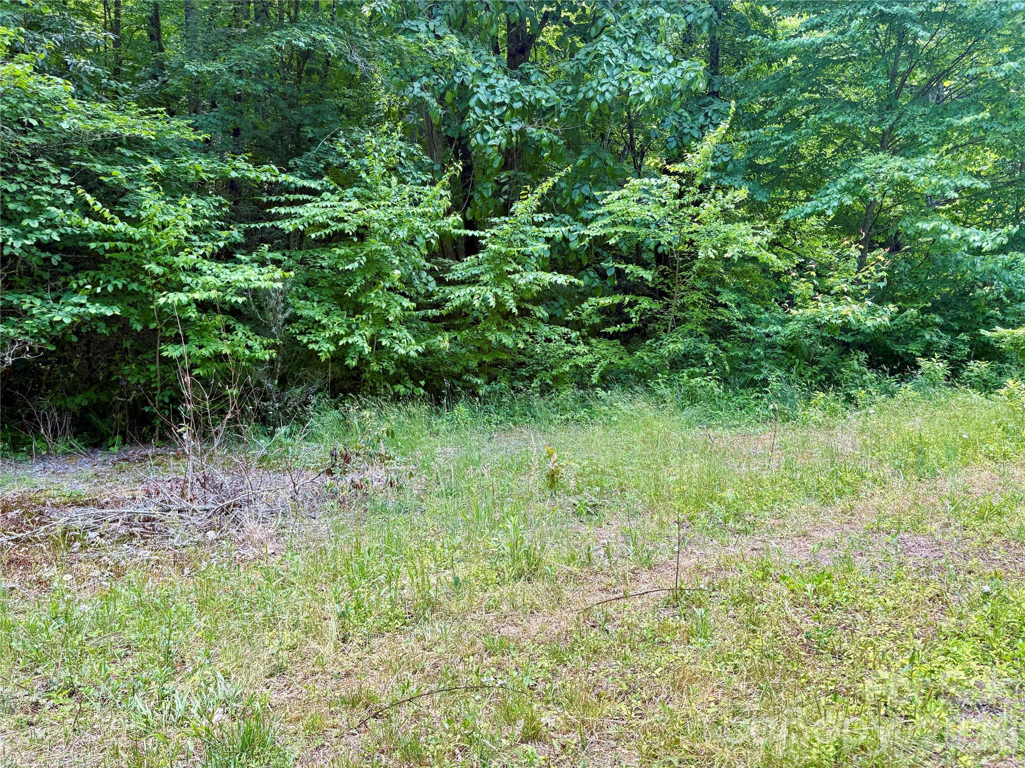 0 Alarka Road, Unit 48 Bryson City, NC 28713 - Photo 7 of 11