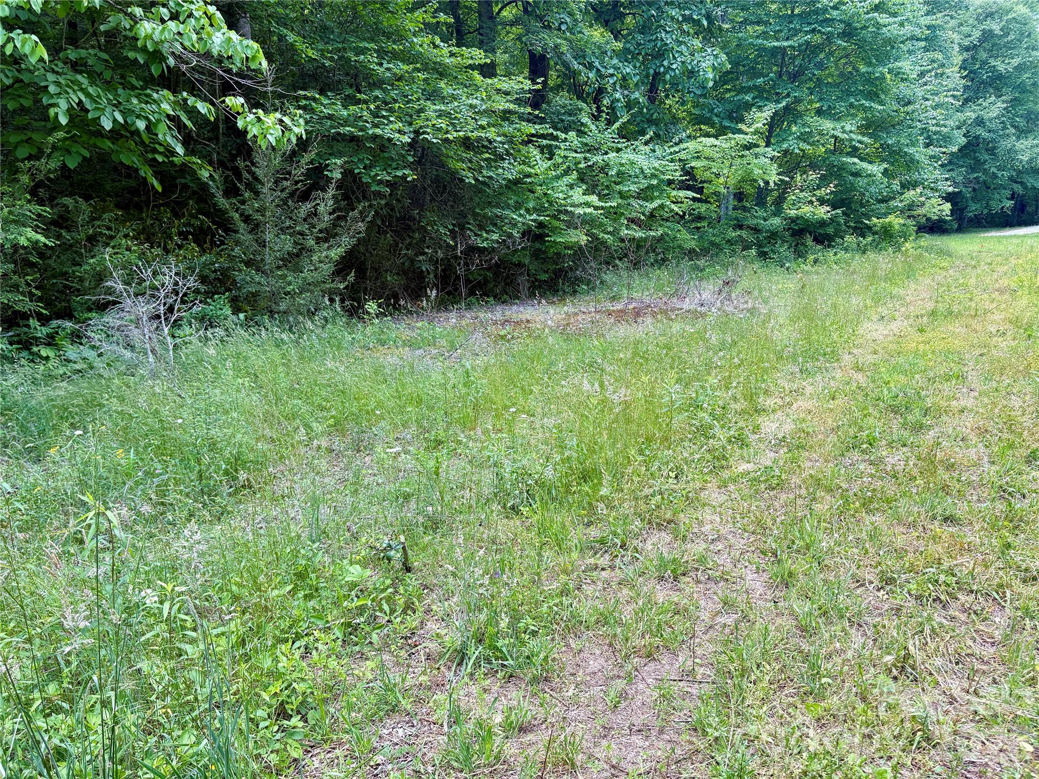 0 Alarka Road, Unit 48 Bryson City, NC 28713 - Photo 8 of 11
