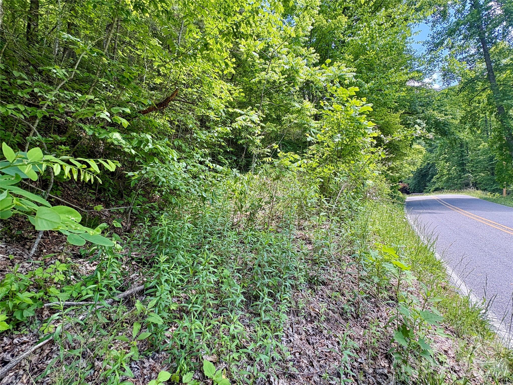 0 Alarka Road, Unit 48 Bryson City, NC 28713 - Photo 10 of 11