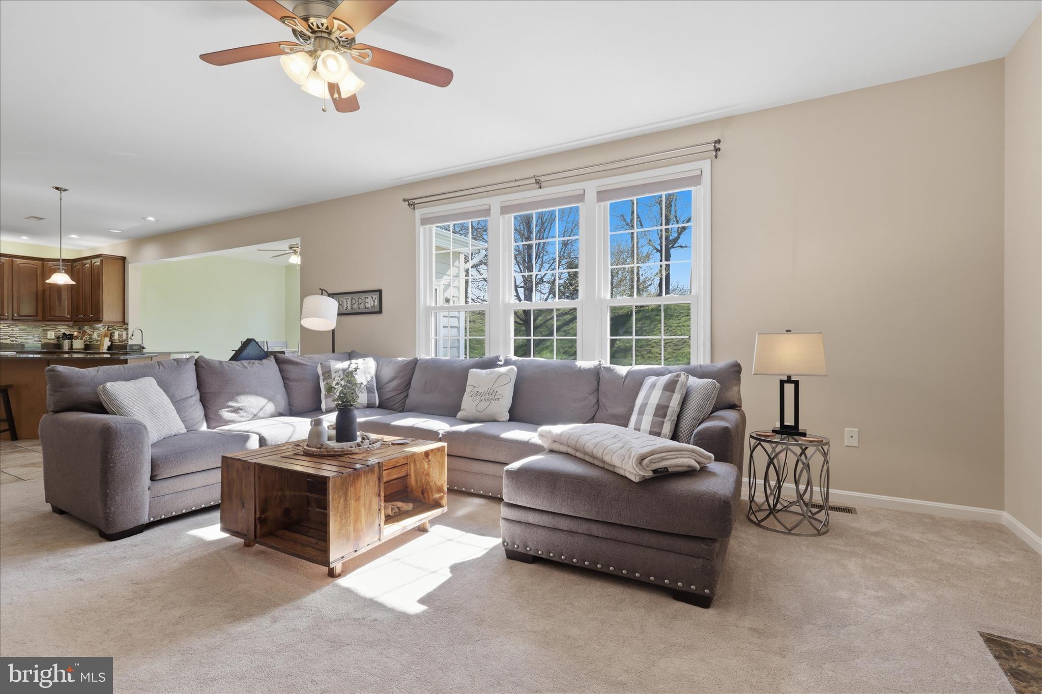 305 Tiger Way Boonsboro, MD 21713 - Photo 31 of 79 a living room with furniture