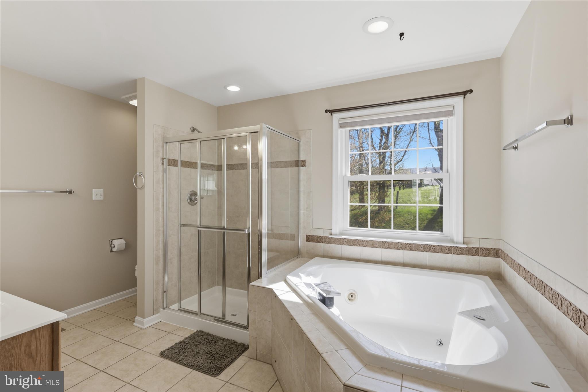 305 Tiger Way Boonsboro, MD 21713 - Photo 4 of 79 a bathroom with a tub a window and a shower