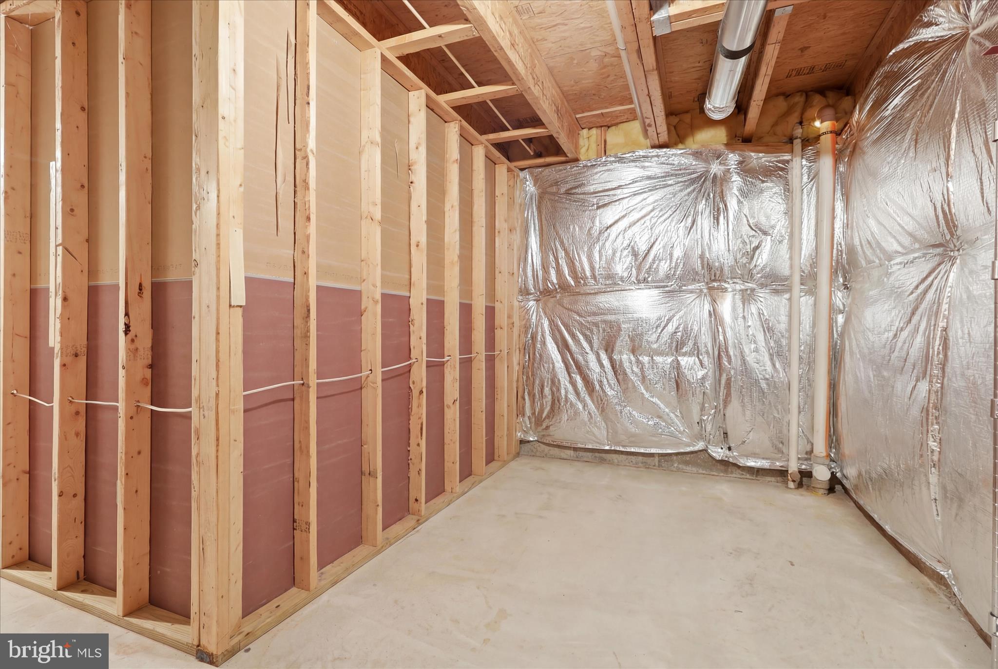 305 Tiger Way Boonsboro, MD 21713 - Photo 60 of 78 Basement Storage Area
