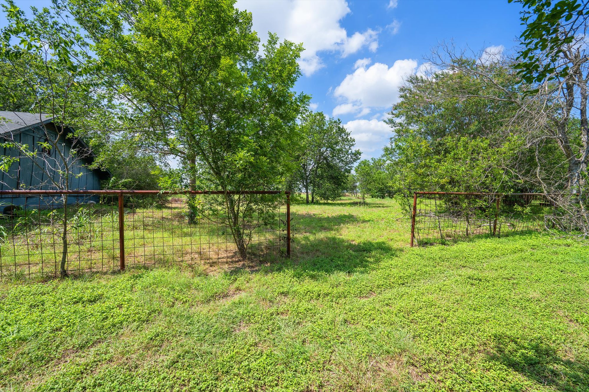 14201 Lund - Carlson Road Coupland, TX 78615 - Photo 12 of 40 A verdant, open lot with natural fencing, offering ample space for future endeavors.