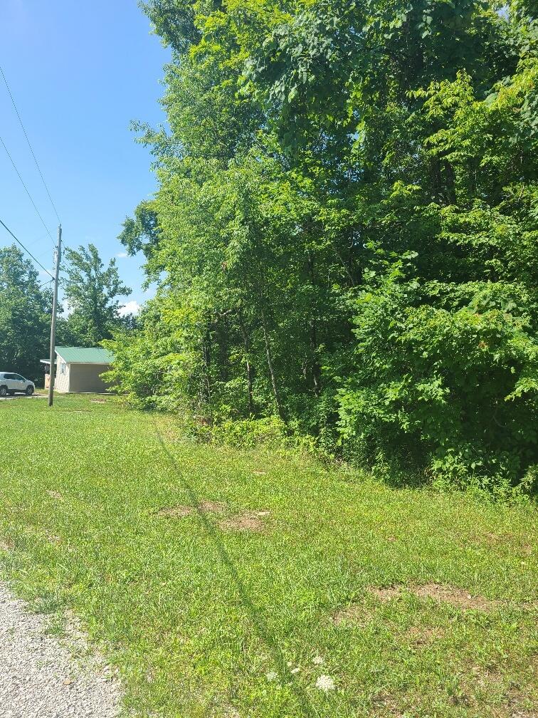 225 Overlook Trail Spring City, TN 37381 - Photo 23 of 49 20220705_110121_resized