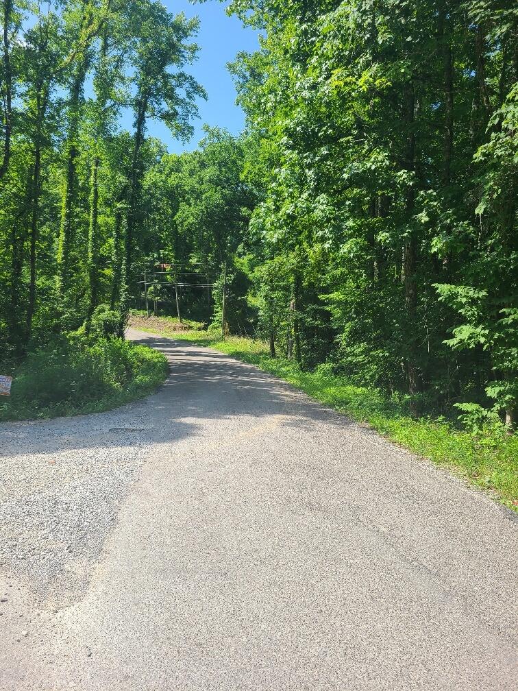 225 Overlook Trail Spring City, TN 37381 - Photo 25 of 49 20220705_110546_resized